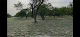 53 Sunny Vale - Photo 7