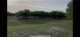 53 Sunny Vale - Photo 8