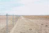 0 County Road 441 (Cr 439) - Photo 3