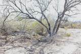 0 County Road 441 (Cr 439) - Photo 9