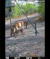 4204 County Road 308 - Photo 33