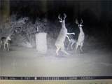 3073 Bravo 6 - Photo 8