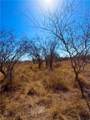 0 Tract 13 San Diego Creek Ranch - Photo 28
