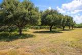 TBD Zinnia Road - Photo 7