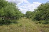 TBD Zinnia Road - Photo 8