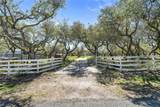 541 Jacoby - Photo 2