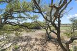 541 Jacoby - Photo 31