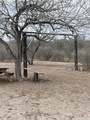 250 Live Oak Spur - Photo 5