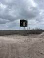 250 Live Oak Spur - Photo 7