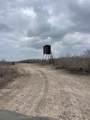 250 Live Oak Spur - Photo 8