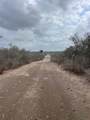 250 Live Oak Spur - Photo 9