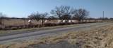 6267 County Road 523 - Photo 3