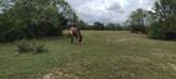 6267 County Road 523 - Photo 4