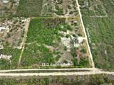 1312 Antonia Street - Photo 2