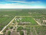 1312 Antonia Street - Photo 4