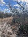 330 County Road 412 - Photo 8