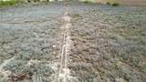 109 County Road 385 - Photo 28