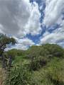 tbd County Road 137 - Photo 2