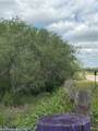 tbd County Road 137 - Photo 5