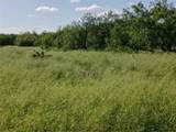 356 Deer Meadows Drive - Photo 6