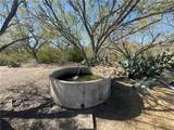 20 acres Cr 421 - Photo 11