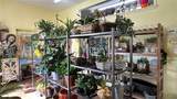 809 Houston Street - Photo 13