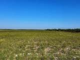 TBD County Rd 1070 - Photo 5