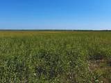 TBD County Rd 1070 - Photo 6