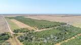 TBD County Road 331 - Photo 10