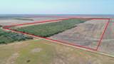 TBD County Road 331 - Photo 13
