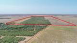 TBD County Road 331 - Photo 14