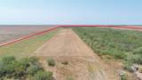 TBD County Road 331 - Photo 17