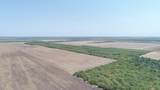 TBD County Road 331 - Photo 30