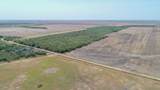 TBD County Road 331 - Photo 31