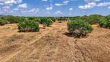 894 County Road 465 - Photo 52
