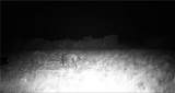 44 Ranch South Highway - Photo 5