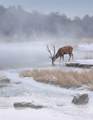 40 EF Whitetail Run - Photo 11