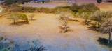 9541 County Road 2250 Circle - Photo 11