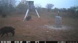 000 Irene - Photo 22