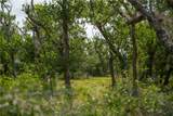 704 State Highway 35 Highway - Photo 9