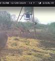 123-124 Frontier Road - Photo 11