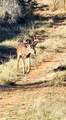 123-124 Frontier Road - Photo 9