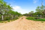 9574 County Road 245 - Photo 13