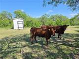 174 Pr Paloma - Photo 25