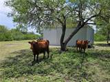 174 Pr Paloma - Photo 30