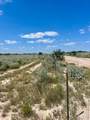 391 Hidden Creek - Photo 4