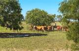 279 County Road 302 - Photo 34