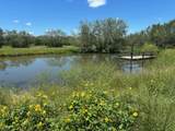 9574 County Road 245 - Photo 14