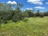9574 County Road 245 - Photo 26