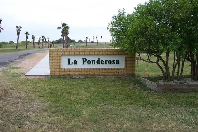 24538 La Ponderosa - Photo 1